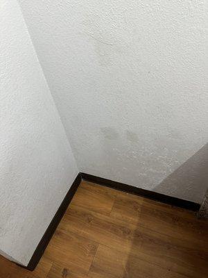 Dirt stained walls. Housekeeping can't be bothered to wipe down the walls?