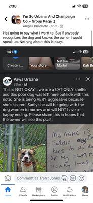 Paws Animal Shelter