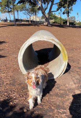 Betty Mae enjoying the one of the many tunnels