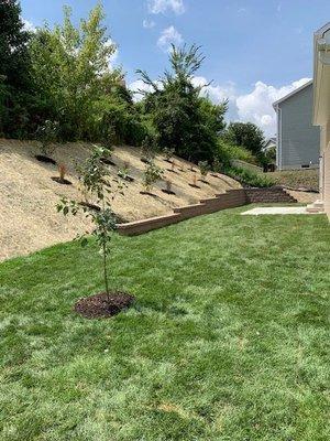 New backyard wall, patio, slope, sod and plantings. Looking sharp!