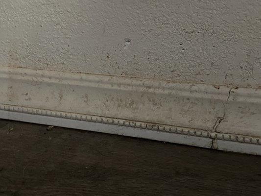 General state of baseboards