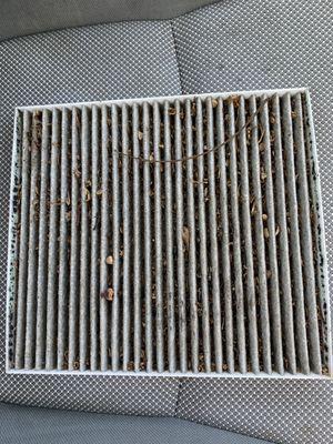 Cabin air filter