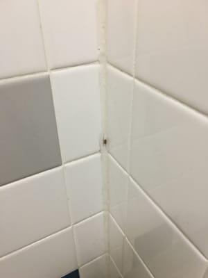 Ewww! In the womens bathroom!