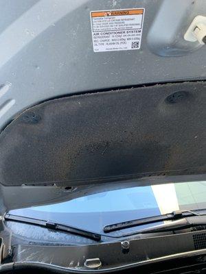 Oil stain on hood