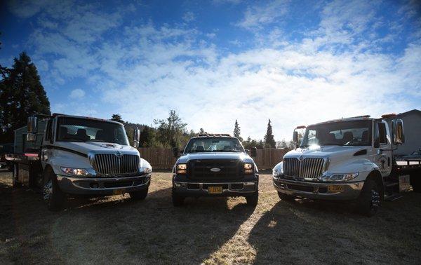 THE CAPTAIN, JUNIOR, and STORM TROOPER with a Gorgeous Blue Sky. I just love this picture. STANDING TALL !!! and READY to SERVE...