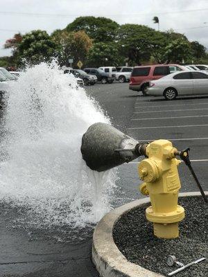 Private fire hydrant testing and certification.