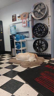 Best Tire & Auto Repair