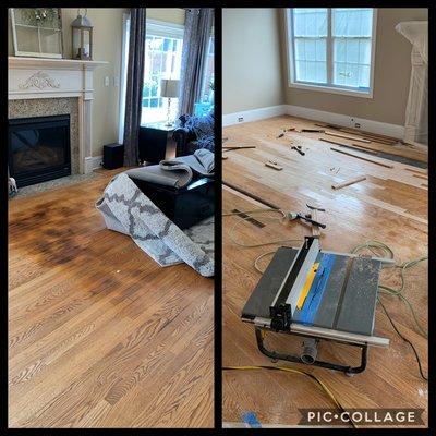 Lacing in of new hardwoods