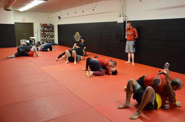 Beginners No Gi Brazilian Jiu Jitsu Program