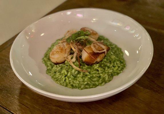 Scallops with herb risotto