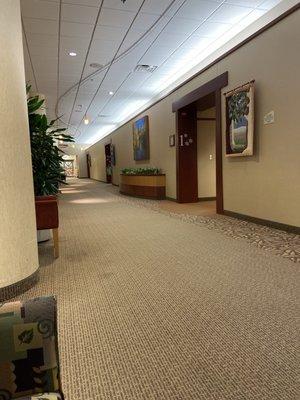 Hallway to treatment and doctor rooms.