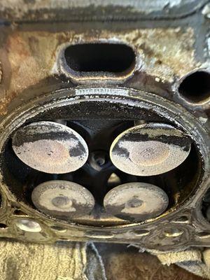 If the timing belt breaks, there is a chance that the valves in the cylinder head will hit the pistons resulting in engine failure like this