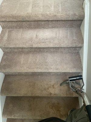 Deep carpet cleaning with truckmount system