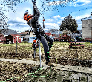 Van's Tree Service