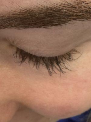 lashes that were much fuller two days ago and now seem to have barely half of them left.