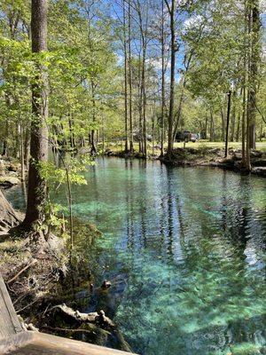 Ginnie Springs