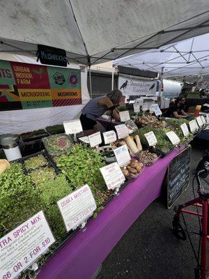 Spring Street Farmers Market