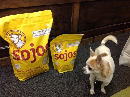 Fajita LOVES his Sojos.