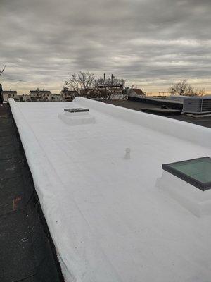 Silicone Layer on Roof and 2 new Skylights