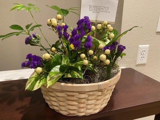 Flower and plant arrangement from N.O. Flower Delivery