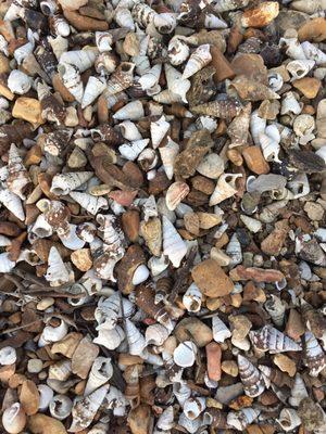 Rocky beach at Hillman Ferry Campground