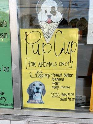 Pup cup!