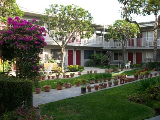 palm garden courtyard