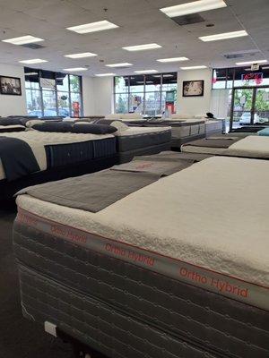 All the nice comfy beds, great help. Just purchased a great mattress we both fell in love with it.