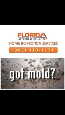 Mold testing and inspection