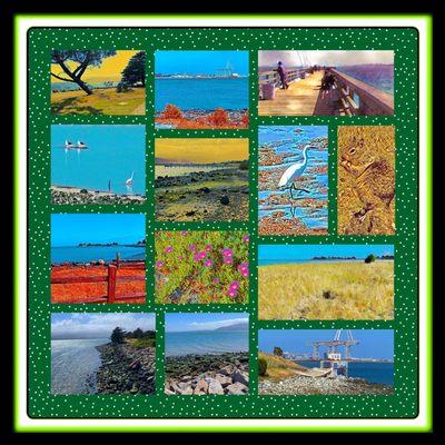 Montage of images from Candlestick Point State Recreation Area