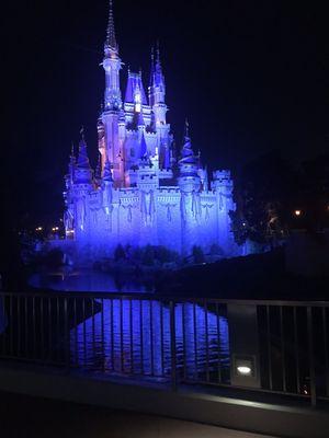 Disney palace