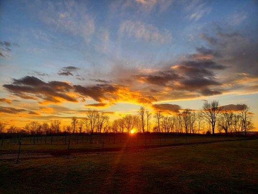 The sunset on 2/29/2020 as seen from the venue. Perfect for sunset wedding photos