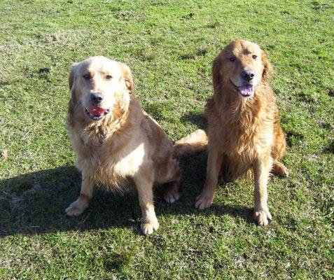 Colt Rivers and Tucker good boys.