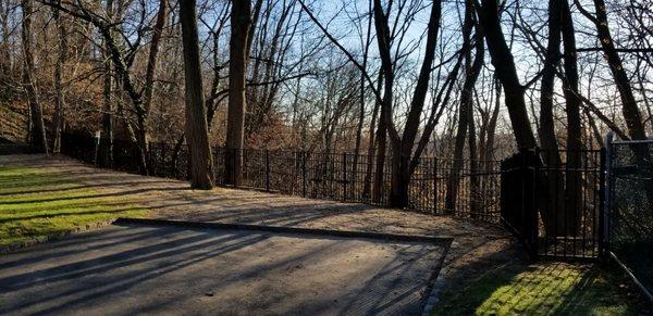 fence built around trees