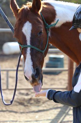 Riding lessons with Jenna