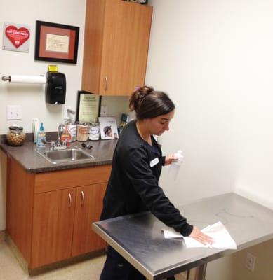 Braden River Animal Hospital - Exam Room cleaning