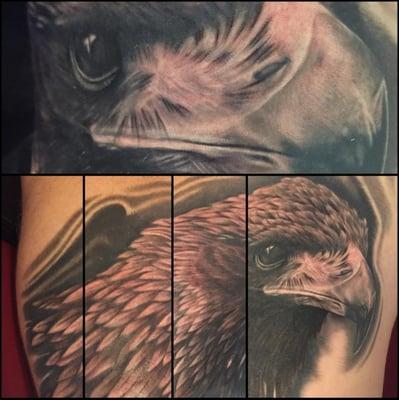 Eagle portrait by Iggy