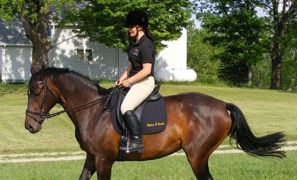 Equine Feed and Supplies