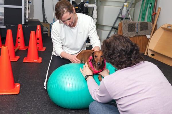 Abby during physical therapy