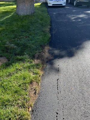 Lovely cutting back and you can see the beading of the water from morning sprinklers on the driveway.  Nice beveling as well!