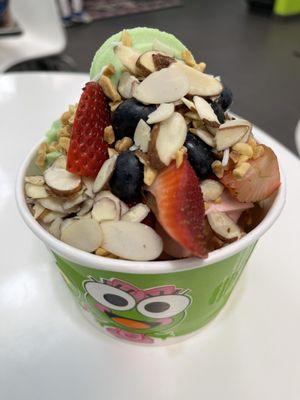 sweetFrog Premium Frozen Yogurt