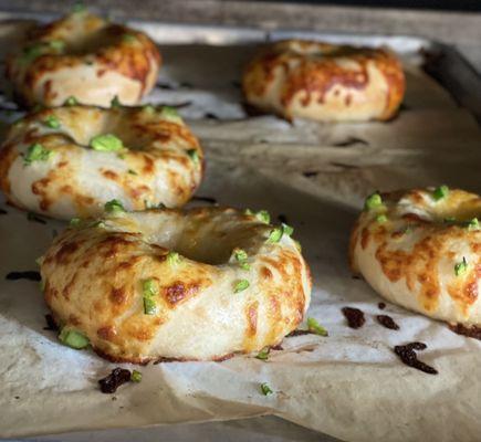 Special Order Jalapeño Asiago Bagels