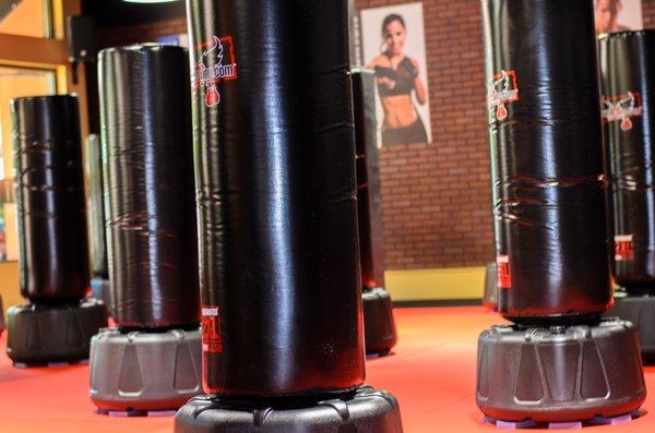 Your main Training Partner... the bags.  They provide the perfect amount of resistance to tone your muscles.