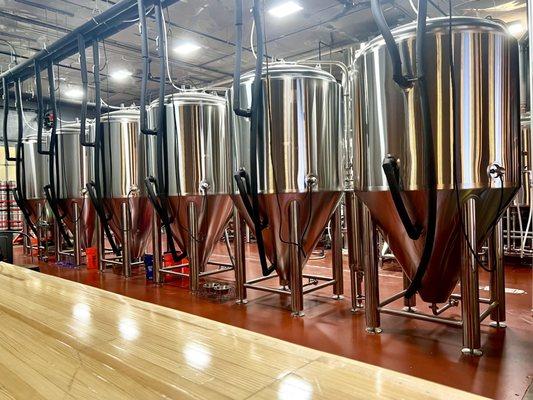 Brewery tanks - shiny & new