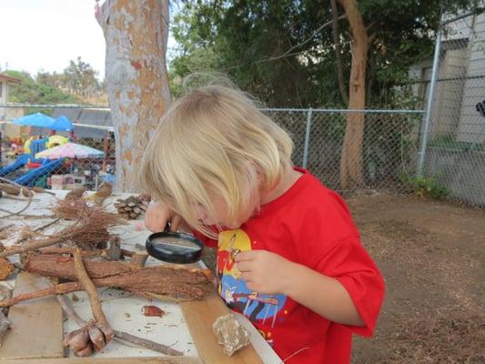 Preschool Nature Park