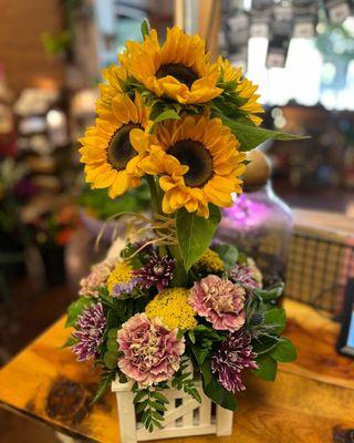 Sunflower garden arrangement