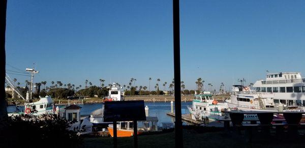 View from patio