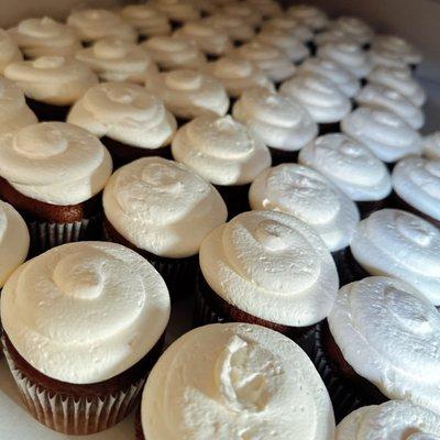 Simple chocolate cupcakes with whip cream frosting