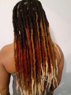 Dreadloc Extensions