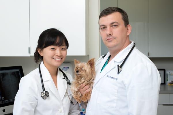 Fort Lee Animal Clinic